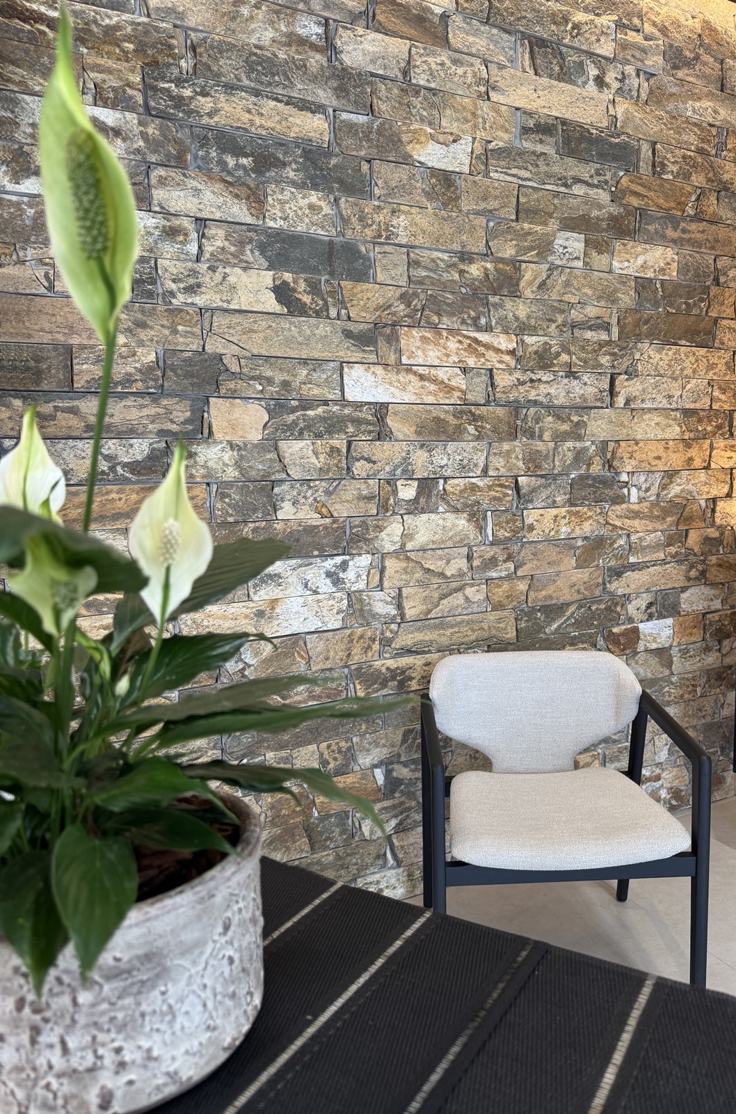 set wall castanho.bx