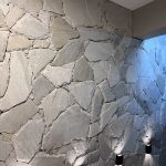 IMG_6568