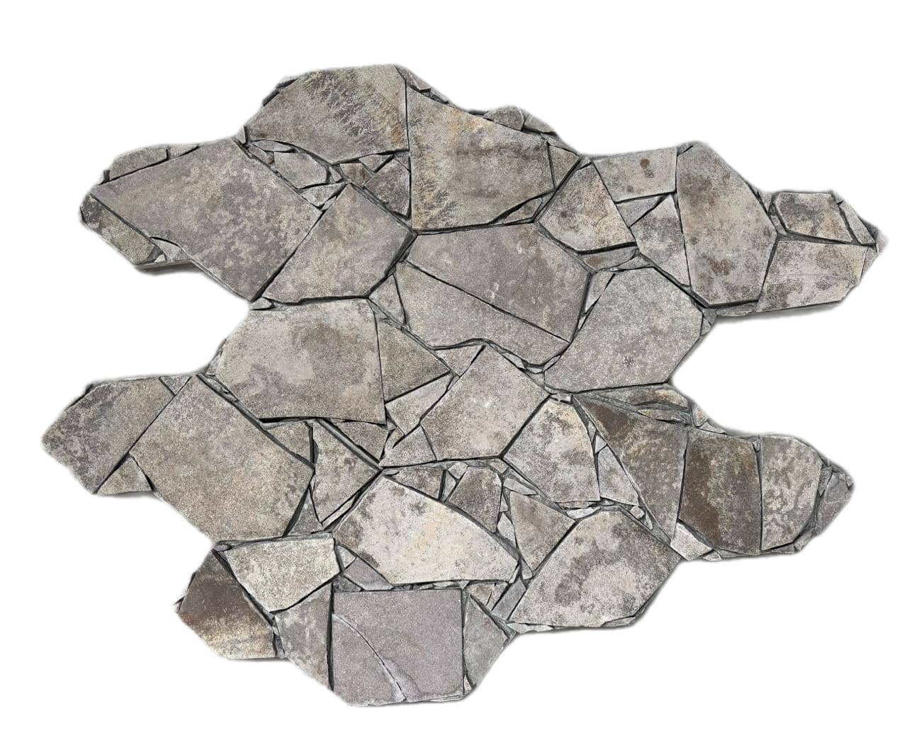 WhatsApp Image 2026-02-26 at 14.49.32